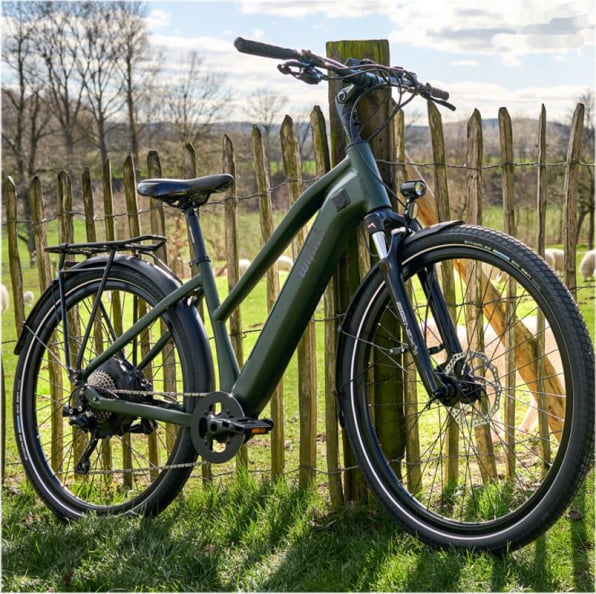 wittich ebike